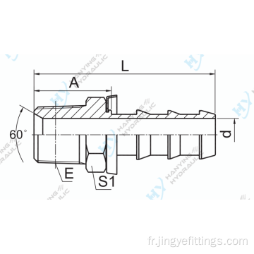 NPT HAMES MALES 60 degrés CONE SIÈGE HYDRAULIQUES